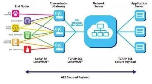 万物智联，芯火燎原 人工智能芯片创新论坛暨信息系统集成服务新篇章